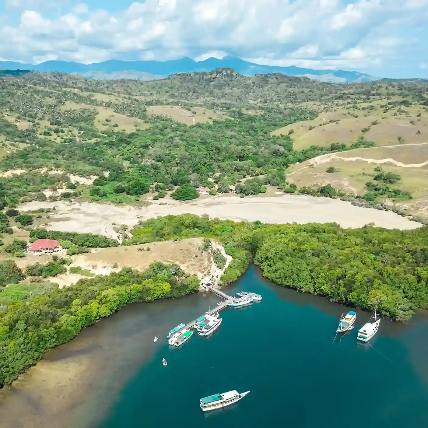 Rinca Island | Labuan Bajo Cruise