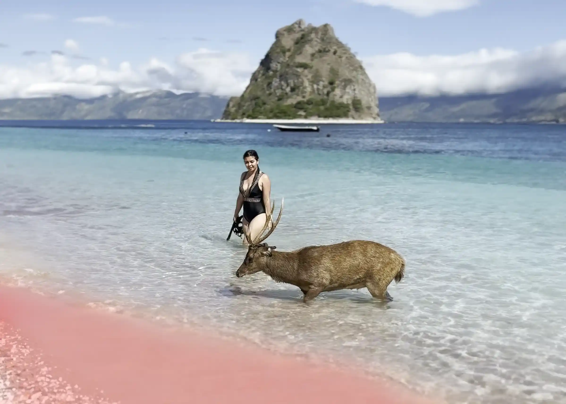 Pink Beach | Labuan Bajo Cruise | Pink Beach